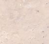 Travertine