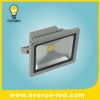 LED Flood Light