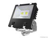 100W LED Floodlight, F...