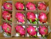 HIGH QUALITY FRESH DRAGON FRUIT FROM VIETNAM