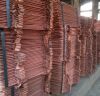 cathode copper ore