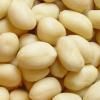 BLANCHED PEANUTS