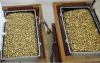 Gold Nuggets and bars