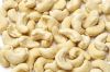 Cashew Nuts,Almond Nuts, Apricot Kernels, Betel Nuts, Brazil Nuts, Canned Nuts, Chestnuts