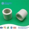 Ceramic Raschig Ring t...