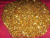 Gold Nuggets