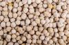 Buy Kabuli Chickpeas/Red Lentils /Kidney Beans best quality for sale