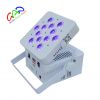 Hot Selling LED par ca...