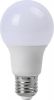 Russia LED Bulb A60 9W