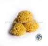 Baby Natural Sea Sponge