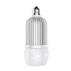 Icepipe LED Bulbs for ...