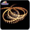 Glamor SMD2835 LED Str...