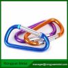 carabiner for decoratiom