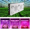 Greenhouse Grow Kit Le...