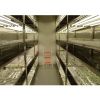 Climate Chamber with L...