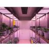 Walk-in Plant Chamber/...