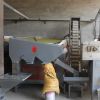 Mung bean seed process...