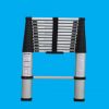 telescopic ladder JC-A13