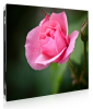 PH3 Indoor SMD LED Screen