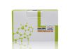 DNA Purification Kit