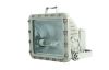 250W MH HPS Lamp Explo...