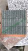 China Green Sukabumi N...
