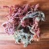CLEAN SEA MOSS STRIPS / PURELY DRIED / NO ADDITIVES / VEGAN FRIENDLY