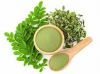 MORINGA LEAF POWDER / ...