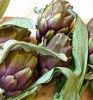 ARTICHOKE FLOWER HERBAL DRY | 100% PURE VIETNAMESE | DETOX CLEANSE & BEAUTY USE