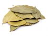 BAY LEAVES PREMIUM QUALITY NATURAL HERB BULK WHOLESALE EXPORT SUPPLY HOT DEAL TOP SALES BEST PRICE PRODUCT