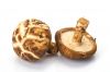 DRIED SHIITAKE MUSHROOM STEMS WHOLESALE SUPPLIER FROM VIETNAM