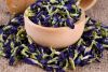 100 PERCENT NATURAL DRIED BUTTERFLY PEA BLOSSOM FOR TEA AND COSMETICS