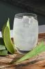 ALL NATURAL ALOE VERA DRINK DELICIOUS COOLING WELLNESS BEVERAGE FOR GLOBAL MARKETS