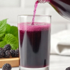 ANTIOXIDANT-RICH MULBERRY JUICE FOR WELLNESS BRANDS
