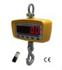 portable crane scale W...