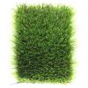 ACCUGINE ARTIFICIAL GRASS