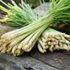 &quot;Lush-Leaf by Happy Fresh Ã�Â¢Ã¯Â¿Â½Ã¯Â¿Â½ Lemongrass&quot;
