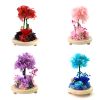 Hydrangea tree in glass dome preserved flower island miniature landscape