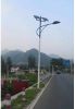 solar street light