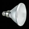 Par38 LED Light