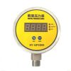 Digital Pressure Gauge...