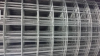 Welded Wire Mesh/Galva...