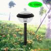 solar light