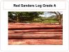 Red Sandalwood Red San...