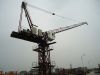 Luffing Tower Crane TC...