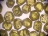 SYNTHETIC DIAMOND &amp...