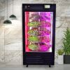 LEAFY PLANT SEEDLING M...