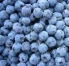 Best Price Fresh Blueberry 