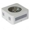 LED Grow light 1x200W
