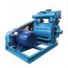 2BE Series Water Ring ...